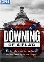 Watch Downing of a Flag 123movies