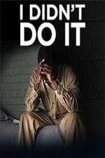Watch I Didn't Do It (2012) 123movies