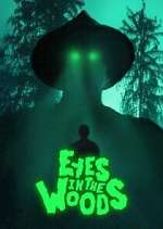 eyes in the woods season 1 episode 3 tv poster