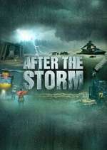 Watch After the Storm 123movies