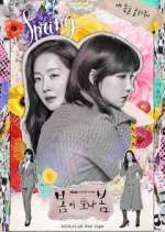 Watch Spring Turns to Spring 123movies