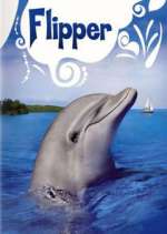 Watch Flipper 123movies