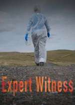 Watch Expert Witness 123movies