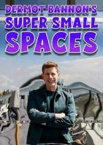 Watch Dermot Bannon's Super Small Spaces 123movies