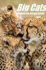 Watch Big Cats: An Amazing Animal Family 123movies