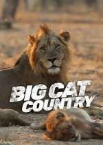 Watch Big Cat Country 123movies