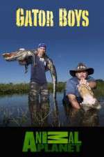 Watch Gator Boys 123movies