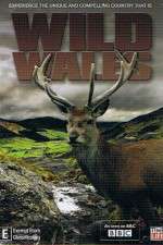 Watch Wild Wales 123movies