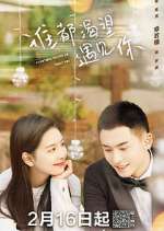 Watch Everyone Wants to Meet You 123movies