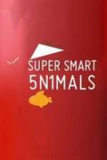 Watch Super Smart Animals 123movies