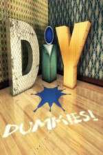 Watch DIY Dummies 123movies
