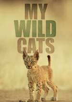 Watch My Wild Cats 123movies