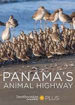 Watch Panama's Animal Highway 123movies