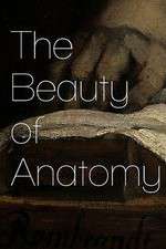 Watch The Beauty of Anatomy 123movies