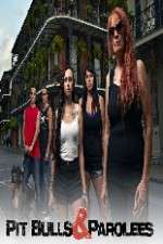 pit bulls and parolees tv poster