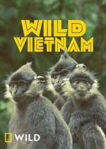 Watch Wild Vietnam 123movies