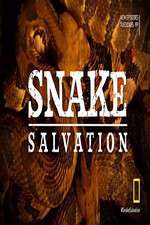 Watch Snake Salvation 123movies