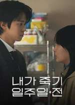 Watch Way Back Love 123movies