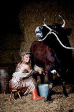 countryfile season 37 episode 48 tv poster