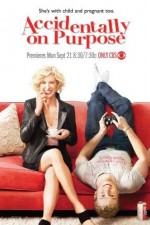 Watch Accidentally on Purpose 123movies