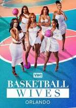 basketball wives: orlando tv poster