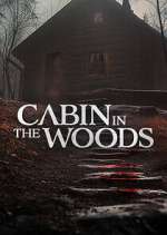 Watch Cabin in the Woods 123movies
