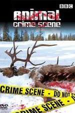 Watch Animal Crime Scene 123movies