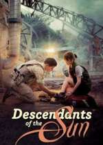 Watch Descendants of the Sun 123movies