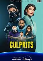 Watch Culprits 123movies