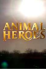 Watch Animal Heroes 123movies