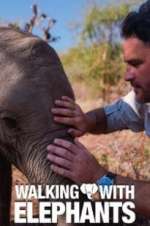 Watch Walking with Elephants 123movies