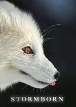 Watch Stormborn 123movies