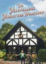 the marvellous miniature workshop tv poster
