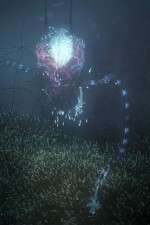 Watch Into the Universe with Stephen Hawking 123movies