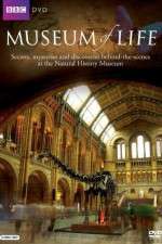 Watch BBC Museum of Life 123movies