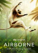 Watch Airborne 123movies