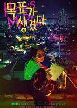 Watch Here's My Plan 123movies