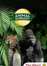 Watch Animal Embassy 123movies