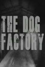 Watch The Dog Factory 123movies