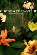 Watch Kingdom of Plants 3D 123movies