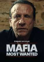 Watch Mafia: Most Wanted 123movies