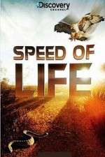 Watch Discovery Channel Speed Of Life 123movies