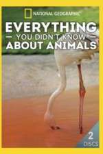 Watch Everything You Didnt Know About Animals 123movies