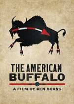 Watch The American Buffalo 123movies