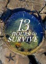 Watch 13 Hours to Survive 123movies