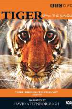 Watch Tiger: Spy in the Jungle 123movies