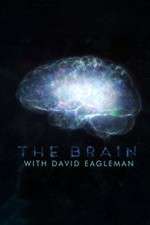 Watch The Brain with Dr David Eagleman 123movies