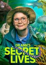 Watch Dr Ann\'s Secret Lives 123movies