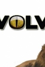 Evolve