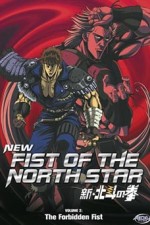 New Fist of the North Star 
